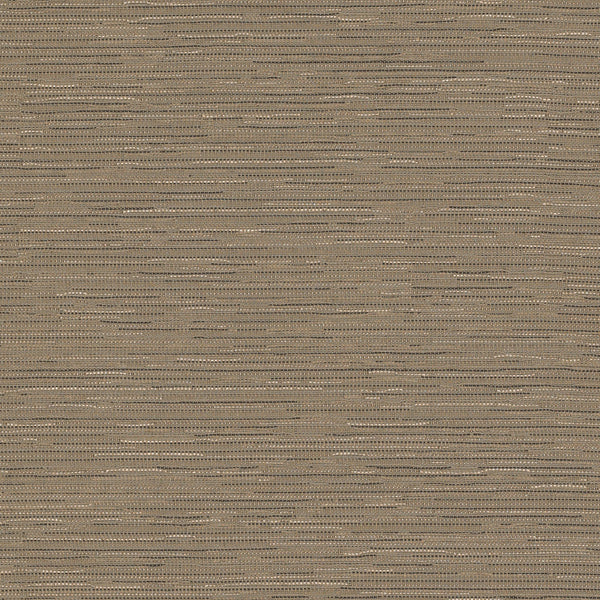 Spangle|1009-08-T536|Spangle 1009-08-T536
