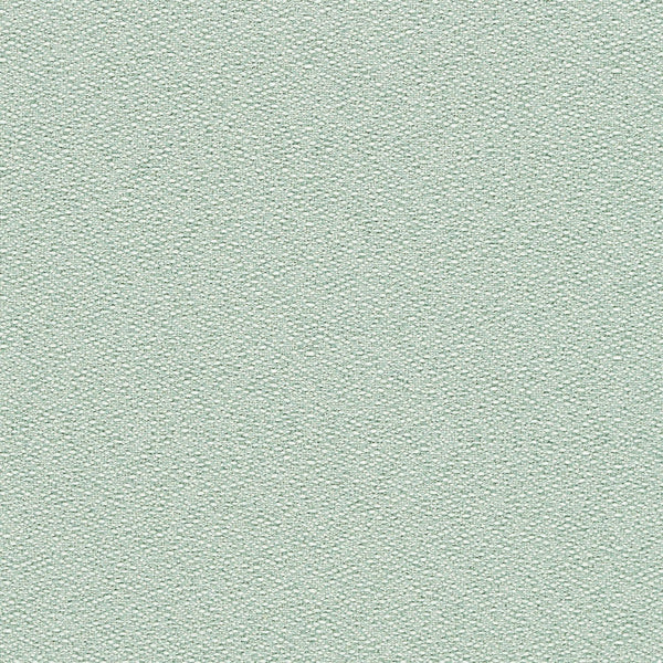 Basil|1006-16-E412|Basil 1006-16-E412