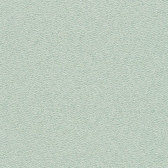 Basil|1006-16-E412|Basil 1006-16-E412