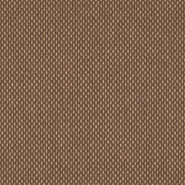 Bright Eyes|4019-11-M150|Bright Eyes 4019-11-M150