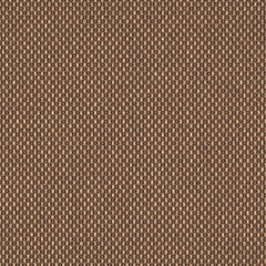 Bright Eyes|4019-11-M150|Bright Eyes 4019-11-M150