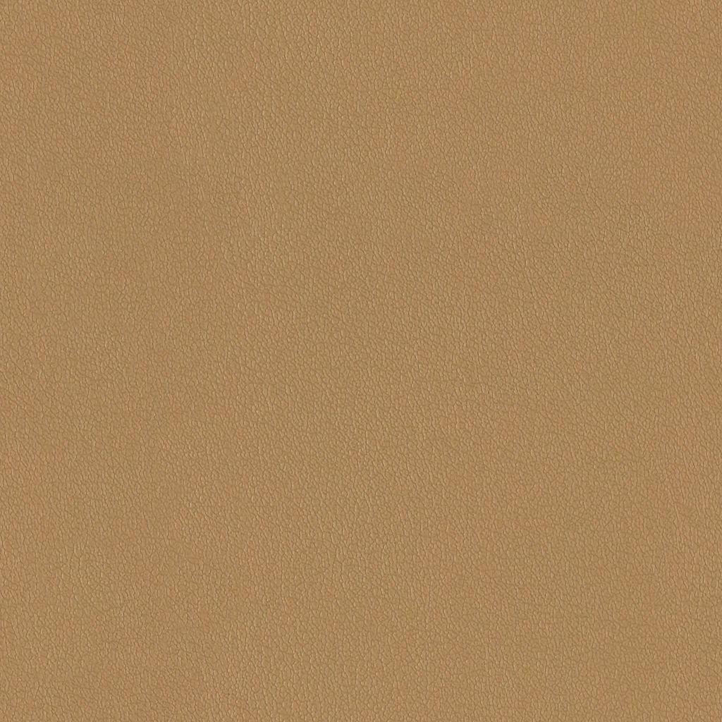 Cashew|4021-05-V494|Cashew 4021-05-V494