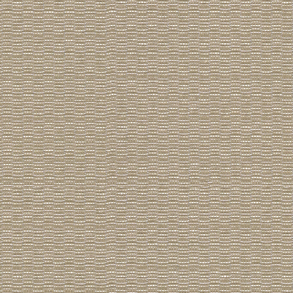 Circuit|1017-06-W744|Circuit 1017-06-W744