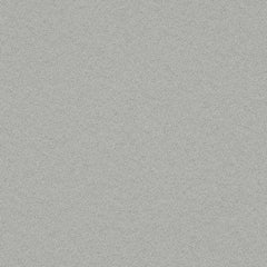 Light Grey|1006-05-E384|Light Grey 1006-05-E384