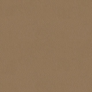 Almond Shell|4023-05-L114|Almond Shell 4023-05-L114