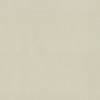 Parchment|4023-04-L113|Parchment 4023-04-L113