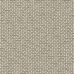 Cross Dye - 4009  Luum Textiles - US